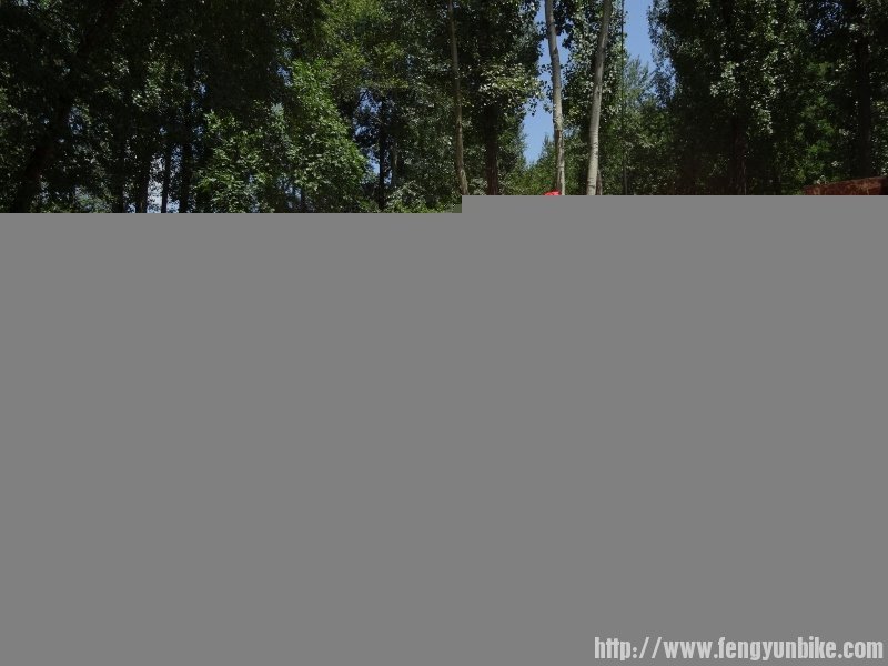 DSC01170 (800x600).jpg