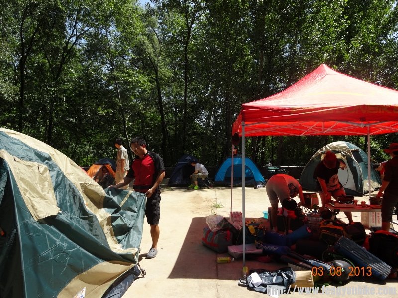 DSC01193 (800x600).jpg