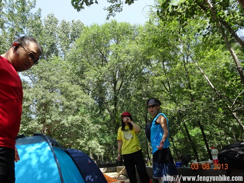 DSC01199 (800x600).jpg