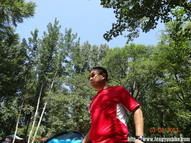 DSC01201 (800x600).jpg