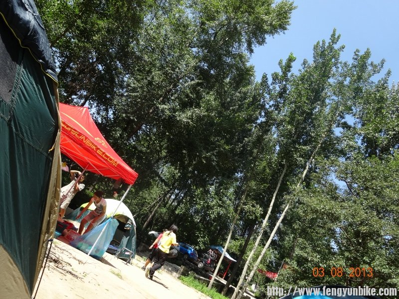 DSC01202 (800x600).jpg