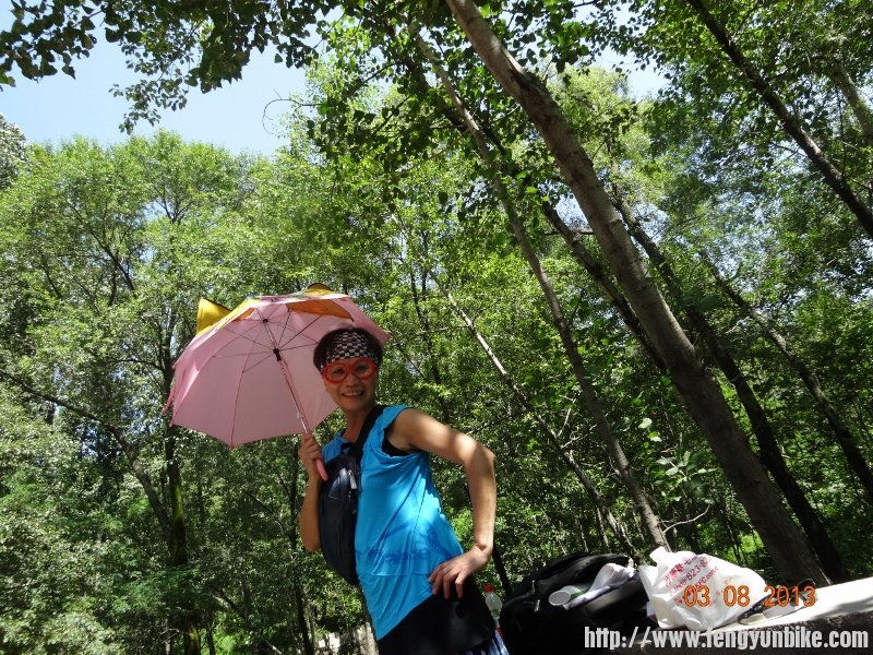 DSC01204 (800x600).jpg