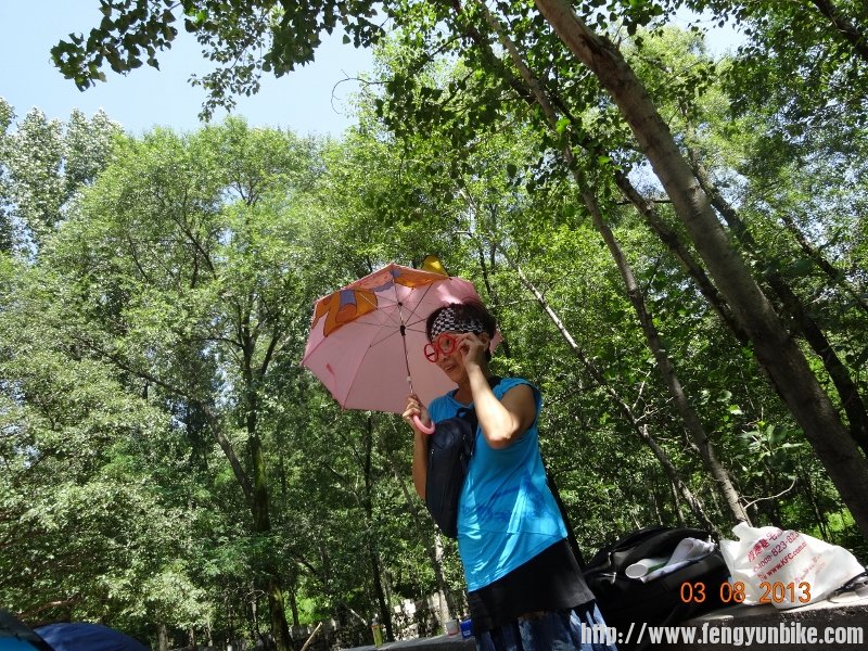 DSC01206 (800x600).jpg