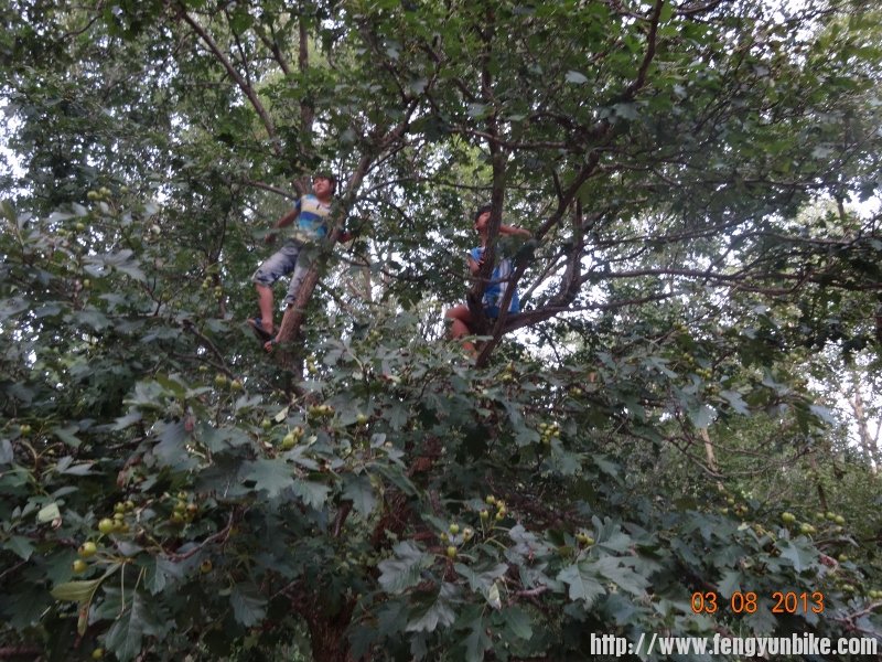 DSC01248 (800x600).jpg