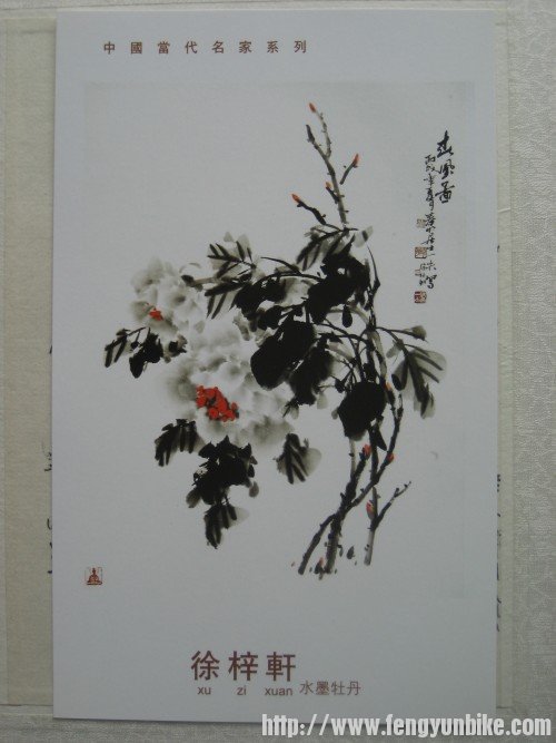 照片 515_conew1.jpg