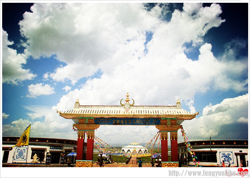 8月青海湖照片 614_副本.jpg