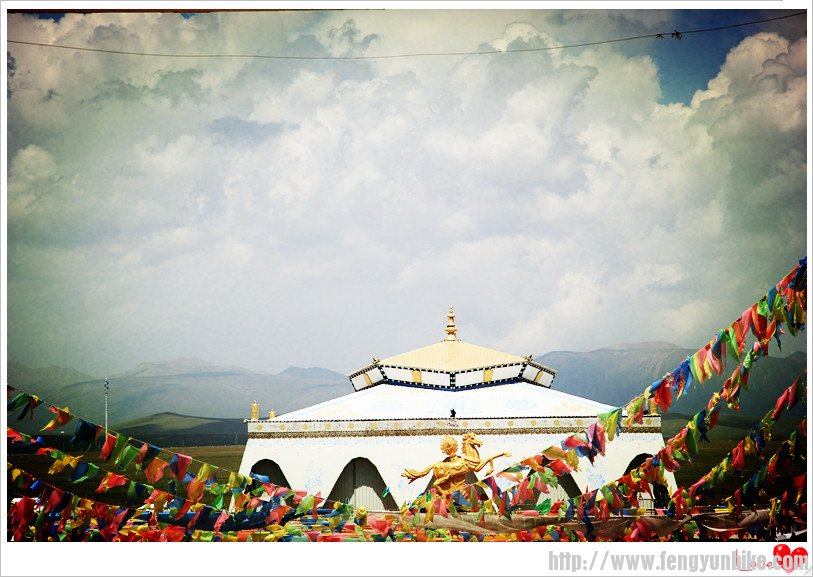 8月青海湖照片 616_副本.jpg