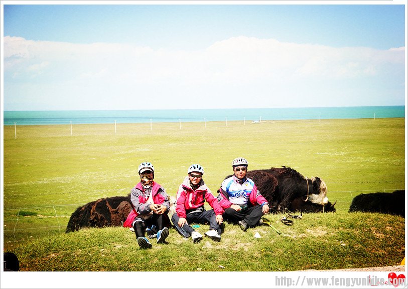 8月青海湖照片 301_副本.jpg