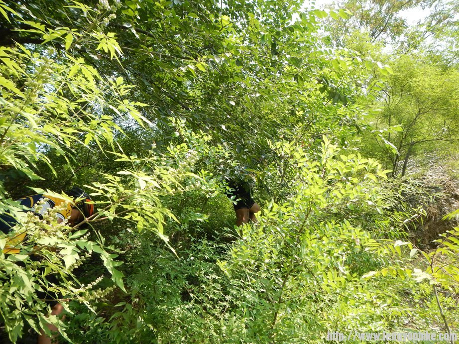 向桃花源溶洞前进