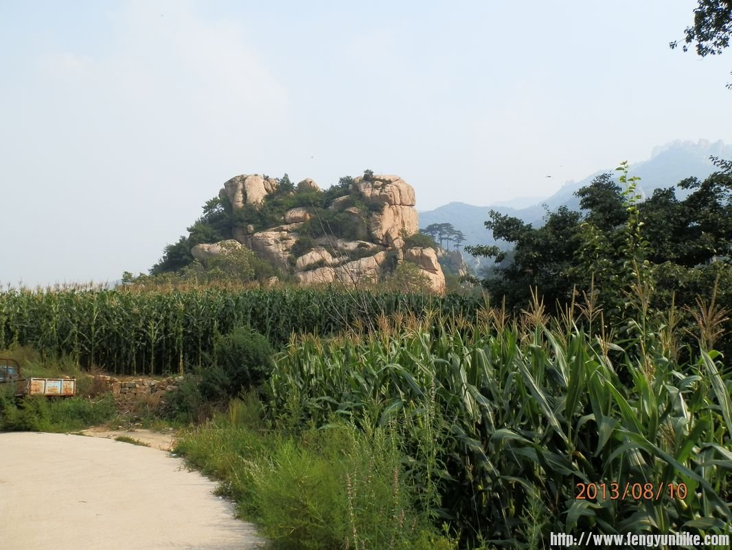 P8101347 - 副本 - 副本.jpg