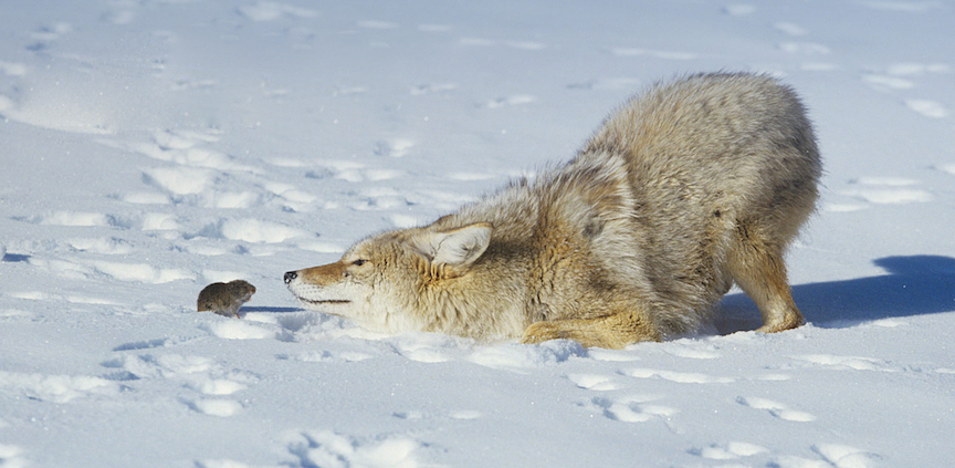 Screen Shot 2013-08-12 at 10.35.10 AM.png