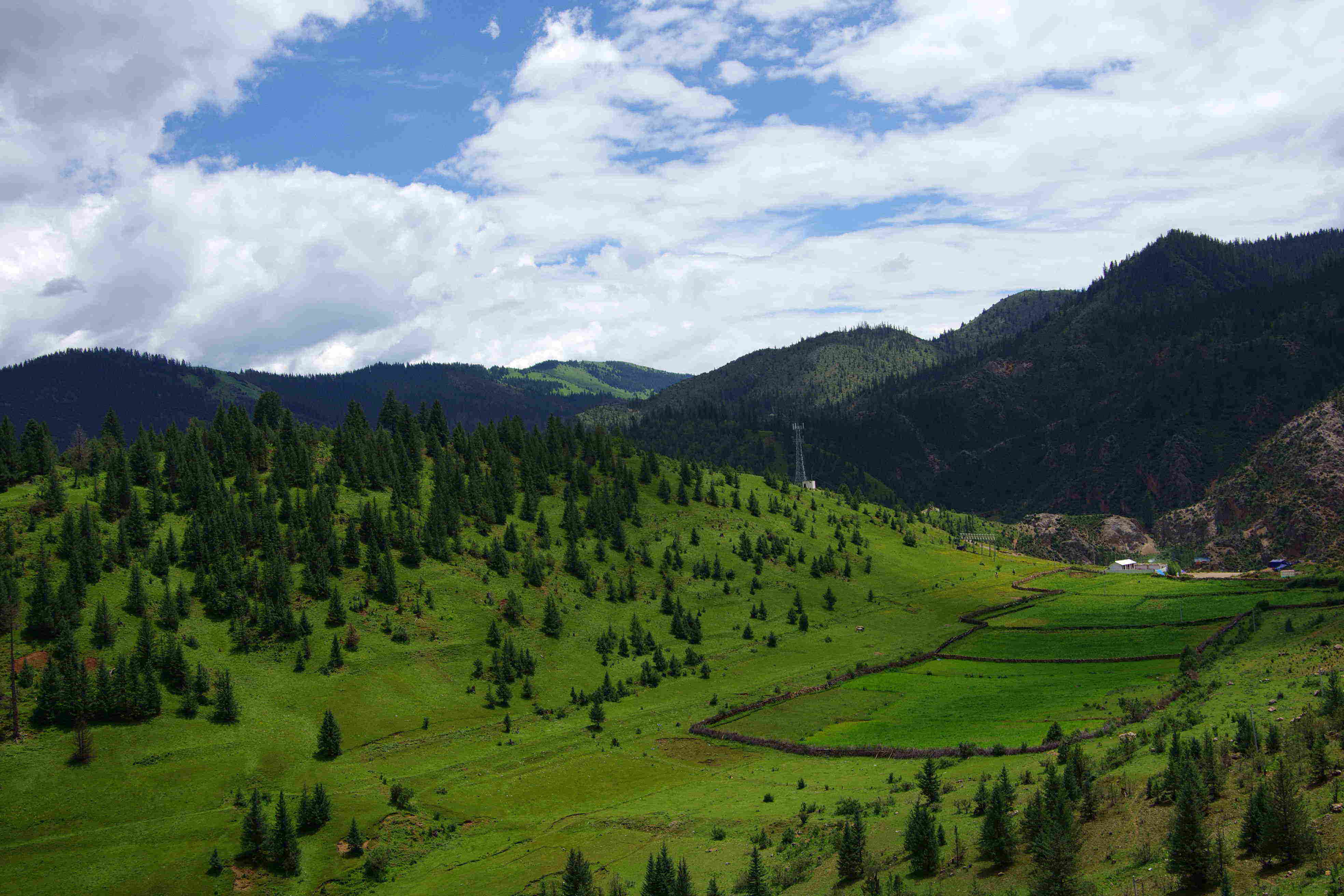 奔往芒康的途中