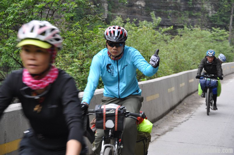 我们的老大姐花瓣