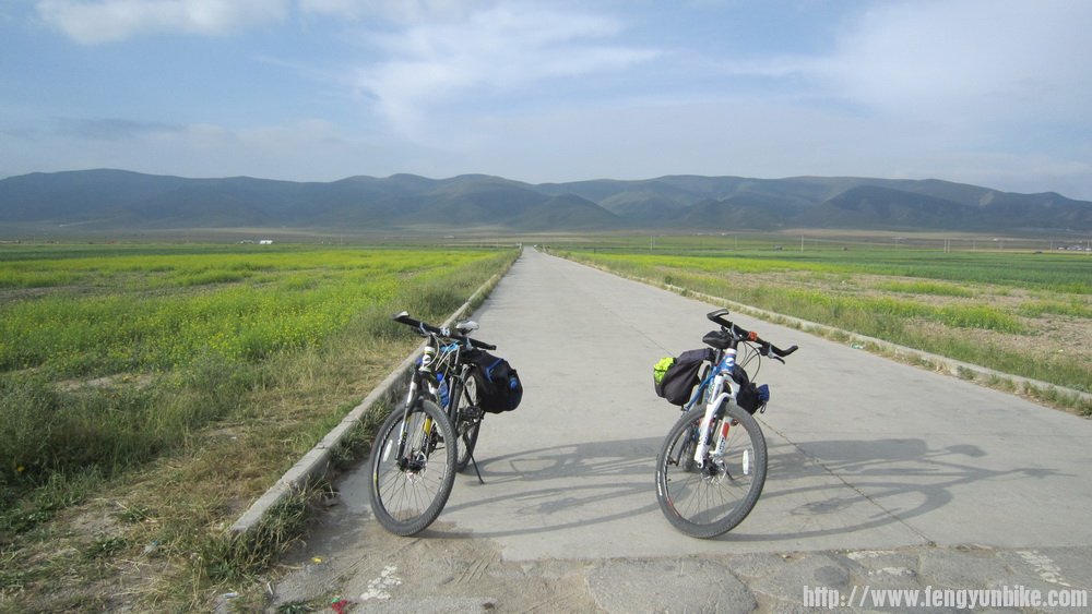 站在湖边看远山，油菜花有点枯黄