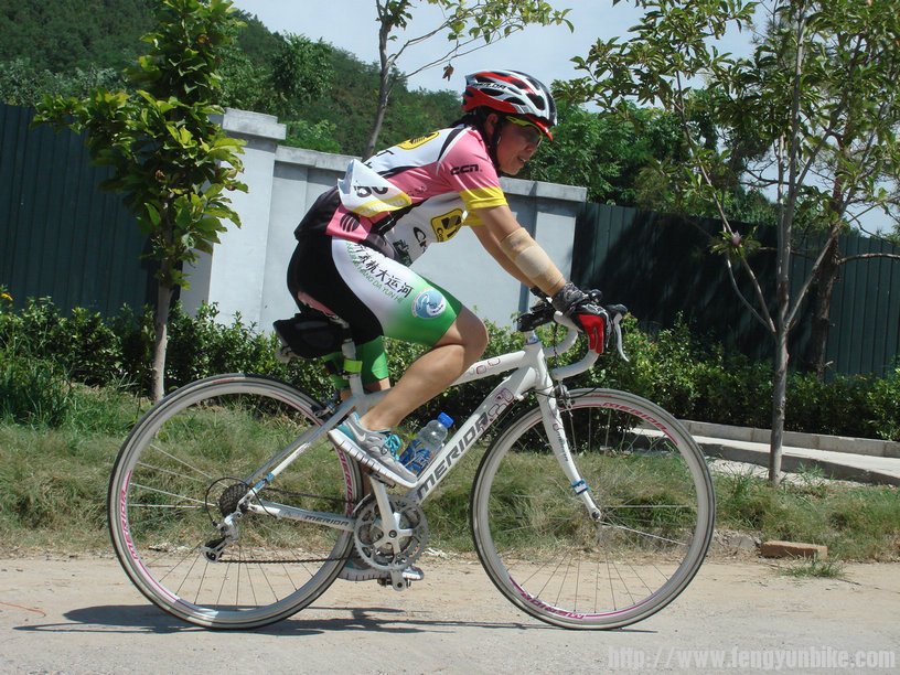 绽放的铿锵玫瑰