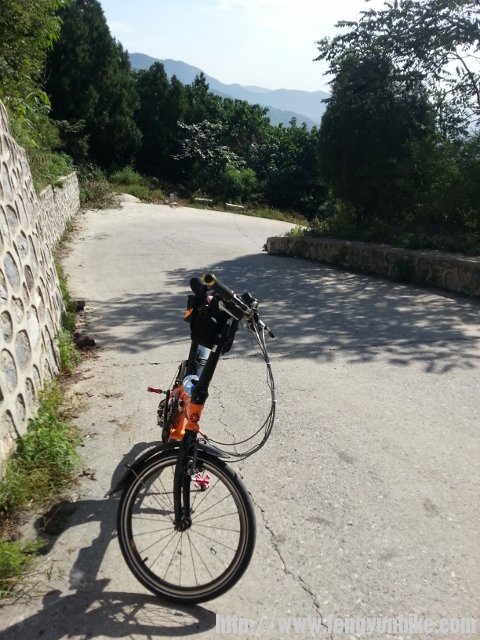 20130824_092209 (480x640).jpg