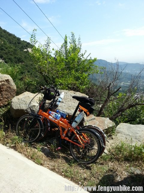 20130824_100542 (480x640).jpg