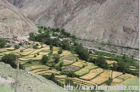 72拐下的同尼村赛江南吧