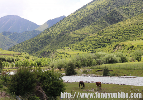 鲁朗（赛瑞士）