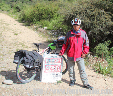 4400真卡通---看看我我