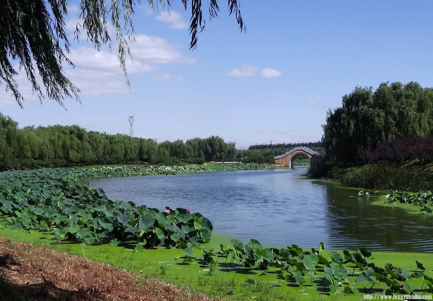 DSC09076 - Version 2.JPG