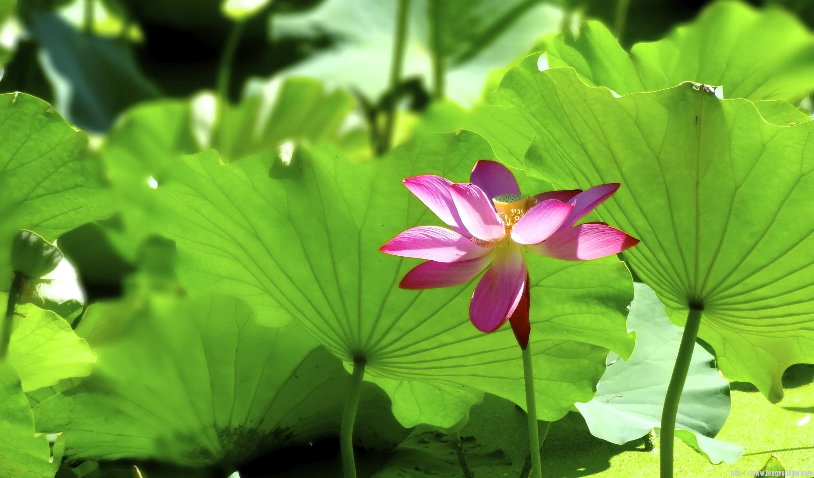 DSC09122 - Version 2.JPG