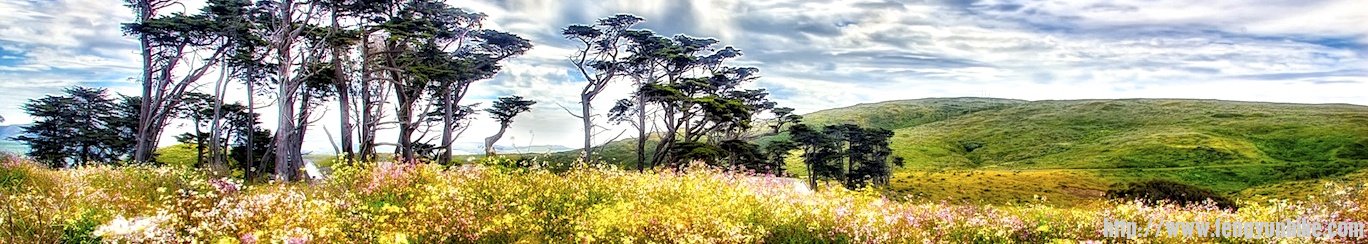 A_Mid_Summers_Day_-_Point_Reyes_Califonia_MyUglyPhotos.com_FullSize copy.jpeg