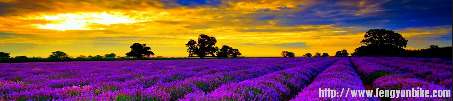 Screen Shot 2013-08-30 at 7.47.53 AM.png