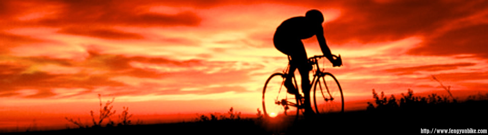 Sunset bike ride - Version 2.jpeg