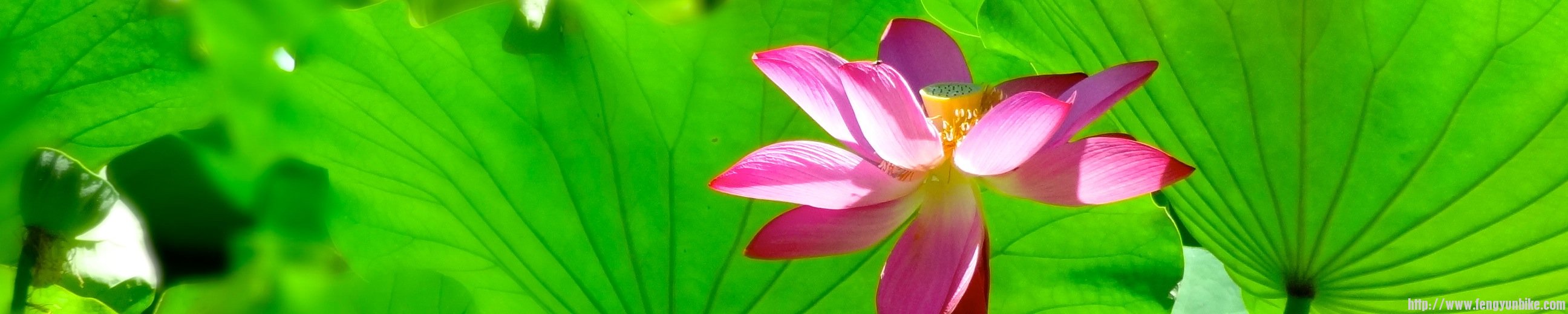 DSC09122 - Version 3.JPG