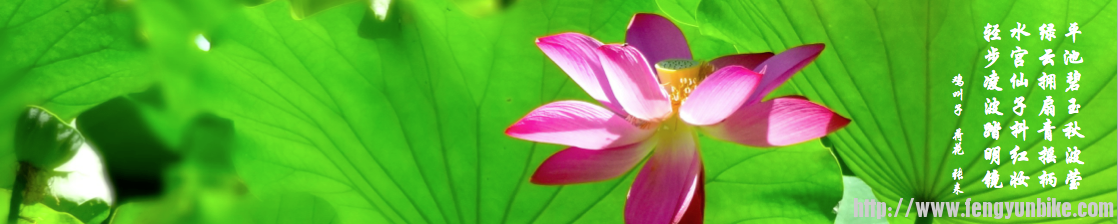 Screen Shot 2013-09-01 at 2.56.15 PM.png