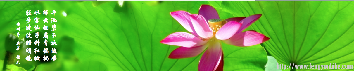 Screen Shot 2013-09-01 at 3.43.03 PM.png