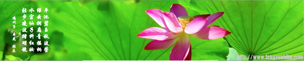 Screen Shot 2013-09-01 at 3.51.06 PM.png