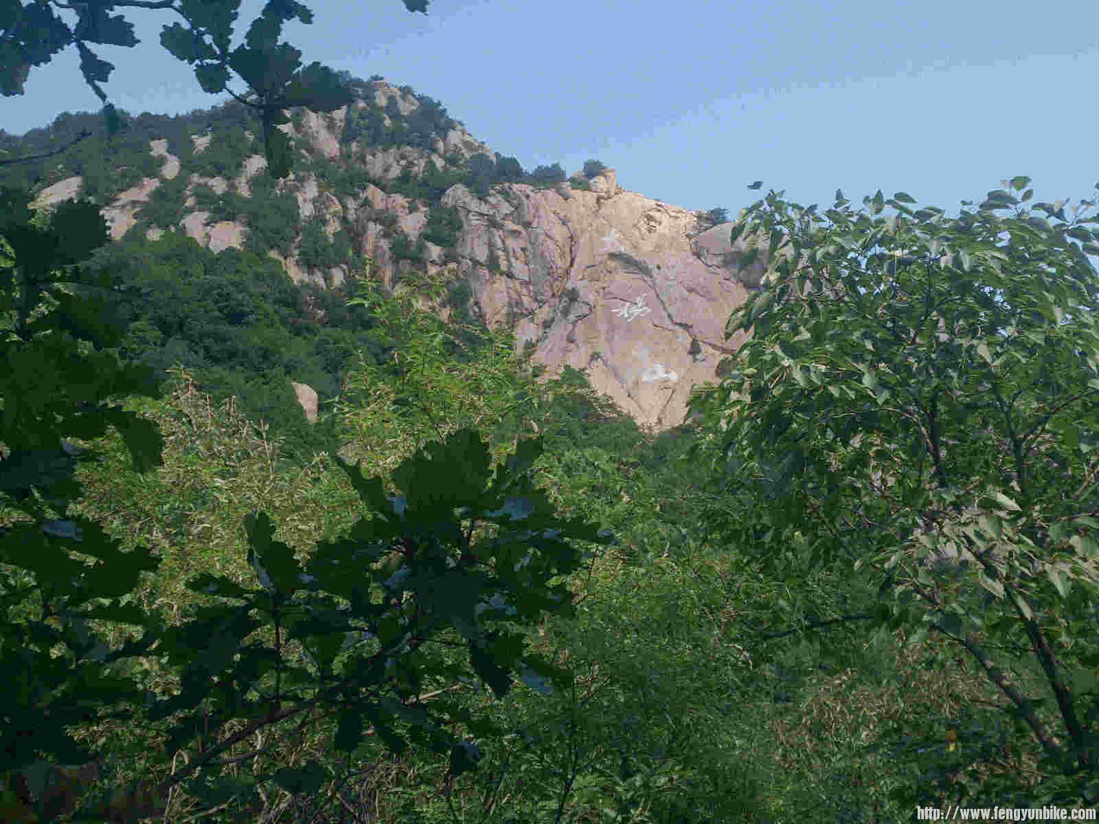 DSC_23 大杨山.jpg