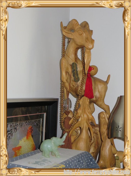 照片 544_副本_副本.jpg