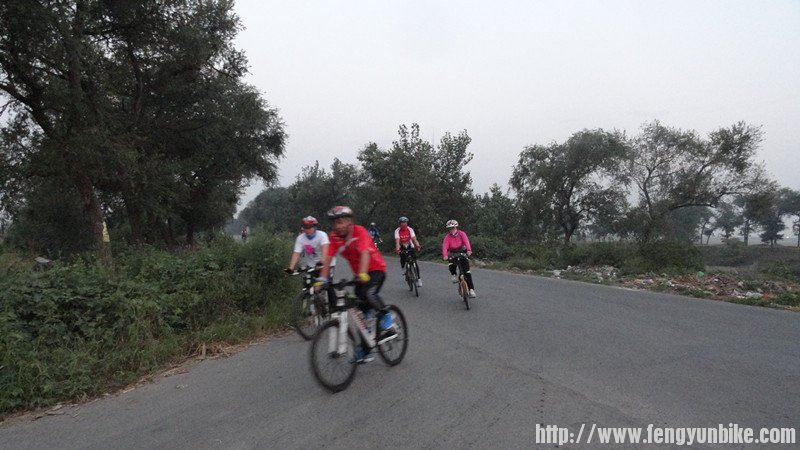 我们的拉拉队员杨姐