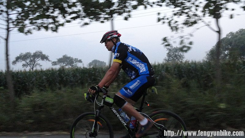 欢乐大花猫，我们的开心果