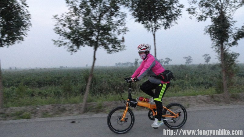 我们的啦啦队员清心