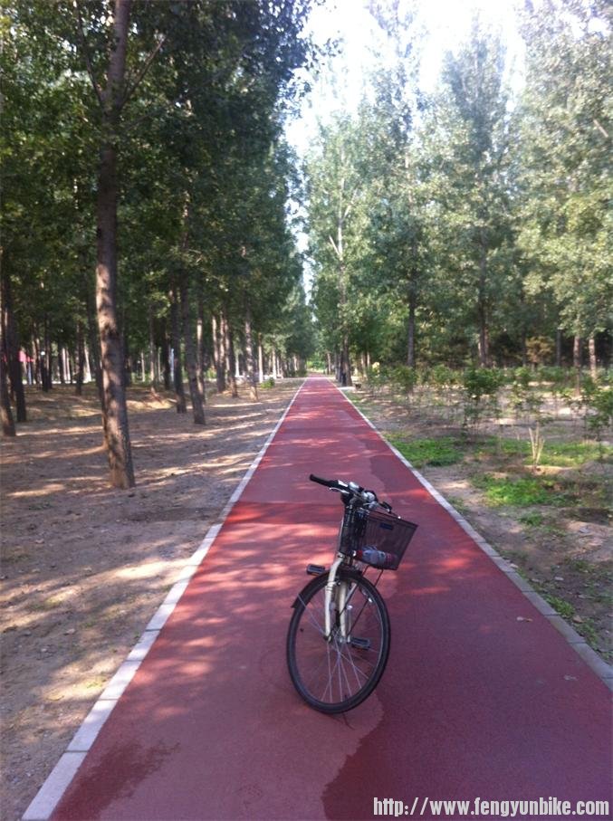 专用橡胶骑行车道，骑起来很爽