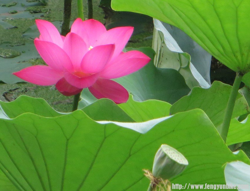 照片 660_conew1.jpg