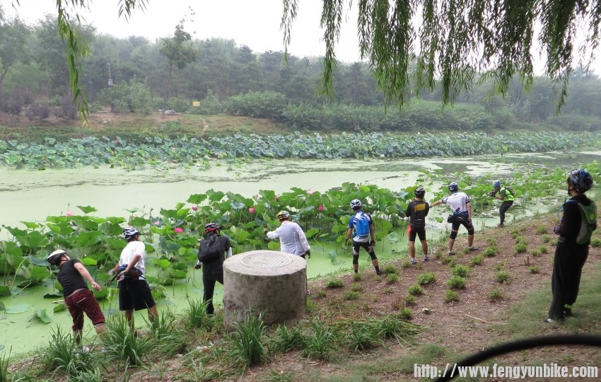 照片 662_conew1.jpg