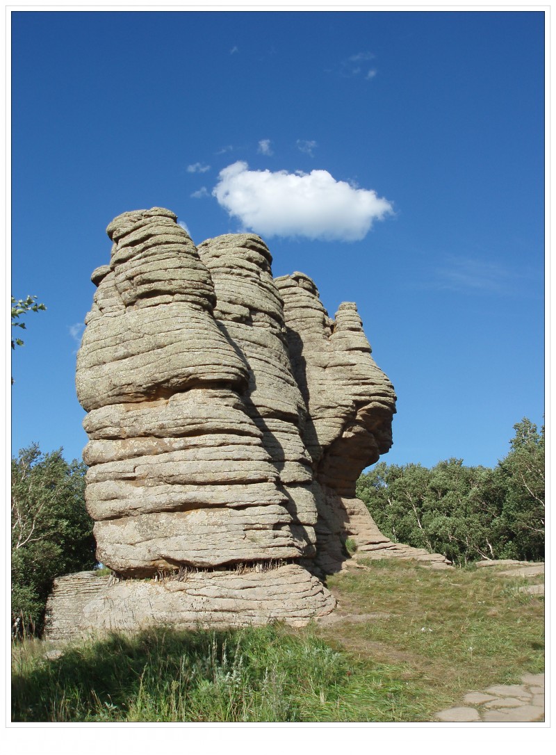conew_057.jpg