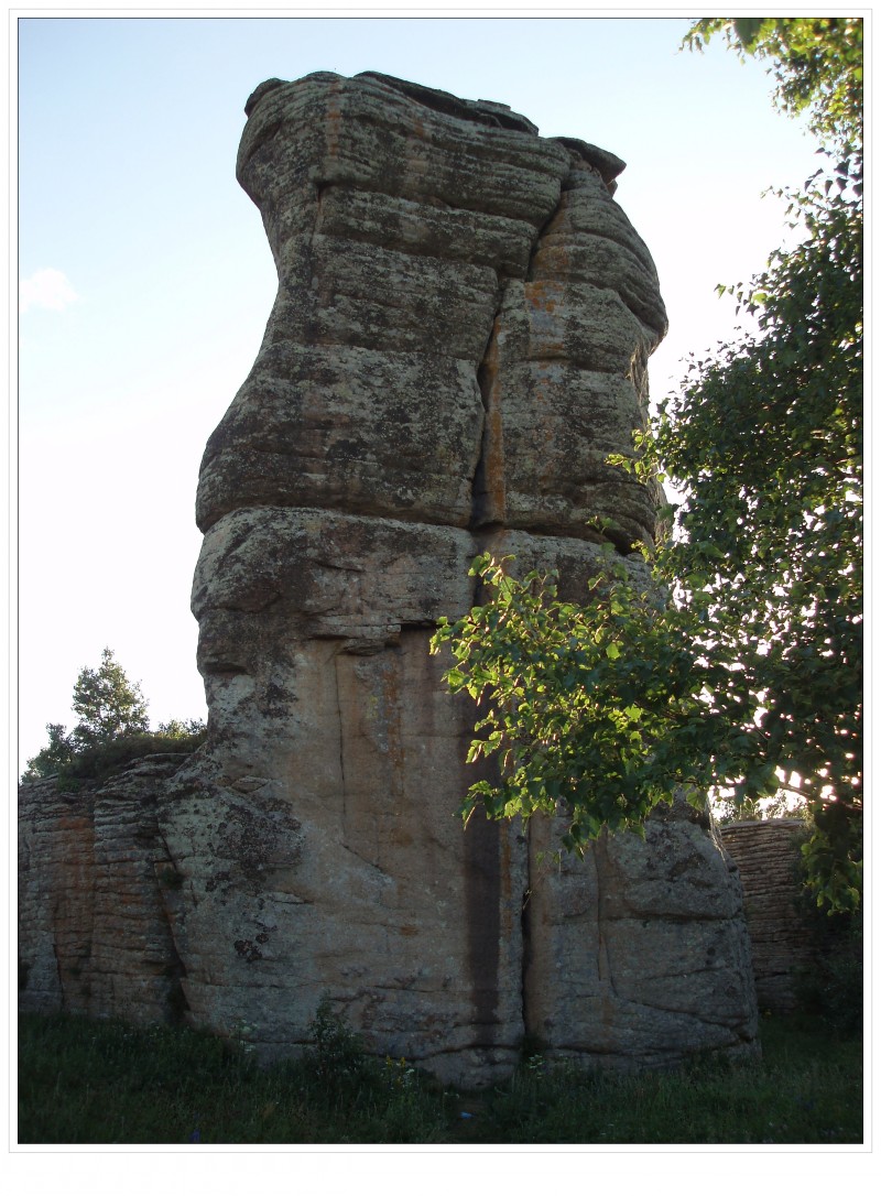 conew_104.jpg