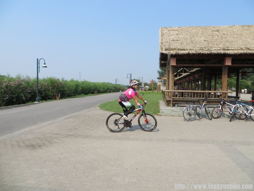 照片 572_conew1.jpg