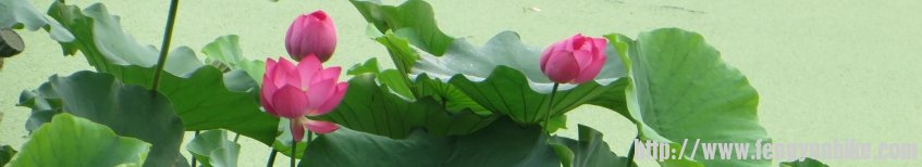 照片 675_conew5.jpg