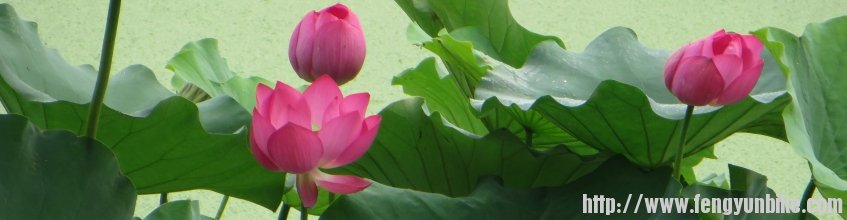 照片 674_conew5.jpg