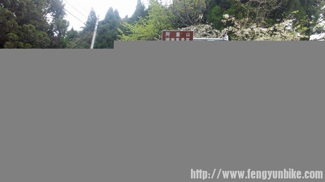 往阿里山的公路