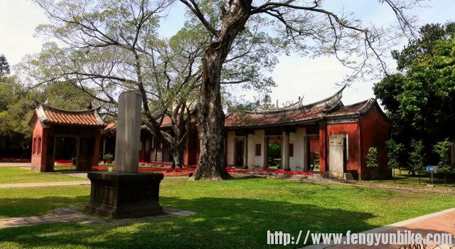 孔庙前的大树，巧的是一个月后下大雨，居然倒了！