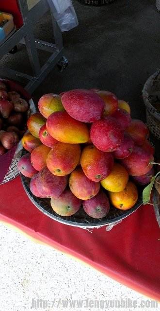 台湾的爱文芒果