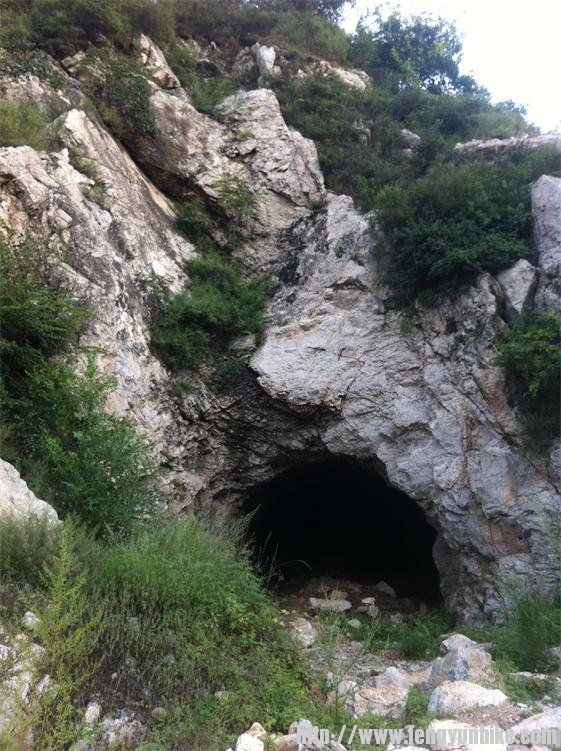 山谷里另一个山洞的洞口，这个没敢进去